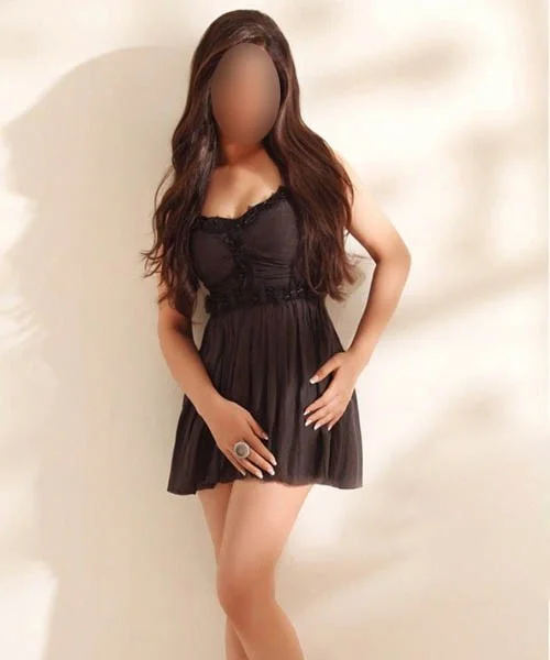 कॉल गर्ल सर्विस in वेंकटापुरम